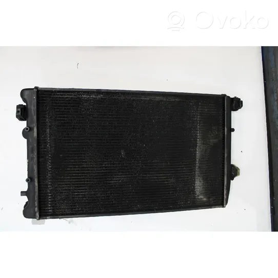 Seat Ibiza III (6L) Radiateur soufflant de chauffage 