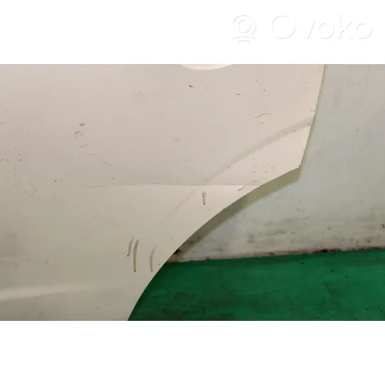 Opel Antara Rear door 