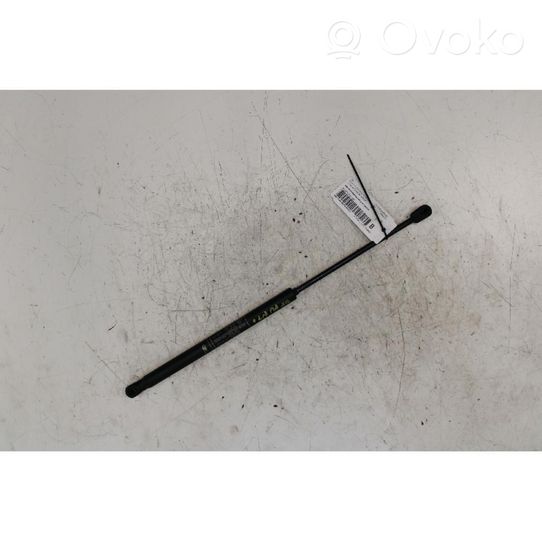 Fiat Punto (188) Rear window strut damper 