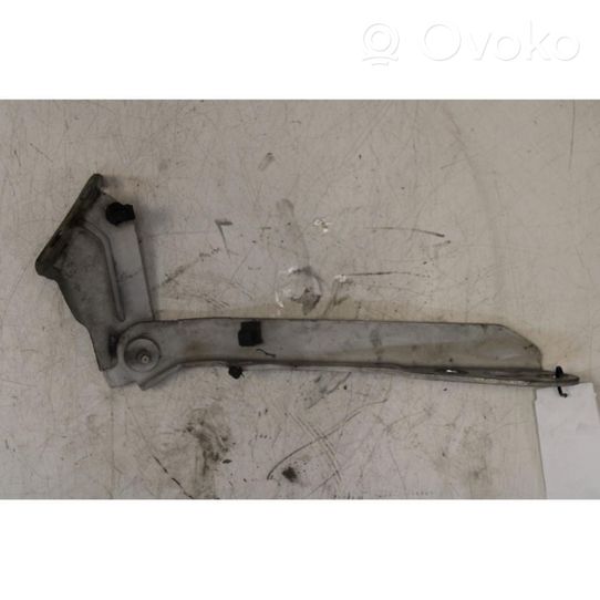 Renault Master III Engine bonnet/hood hinges 