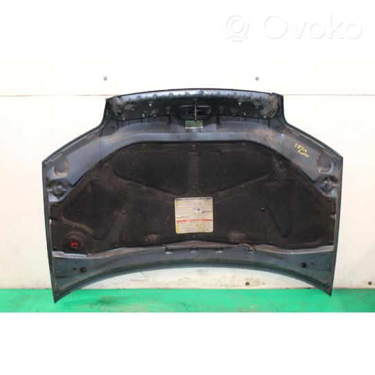 Fiat Punto (188) Engine bonnet/hood 