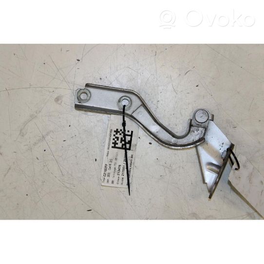 Volkswagen Fox Engine bonnet/hood hinges 