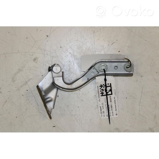 Volkswagen Fox Engine bonnet/hood hinges 