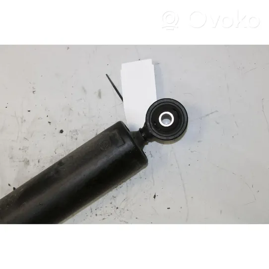 Fiat Qubo Rear shock absorber with coil spring 