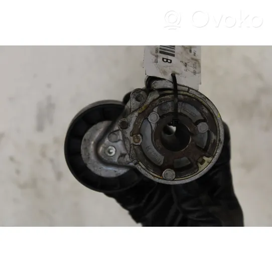 Fiat Ducato Generator/alternator belt tensioner 