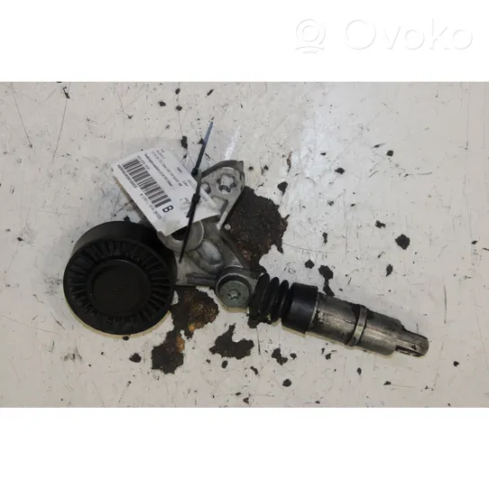 Audi A4 S4 B7 8E 8H Tendicinghia generatore/alternatore 