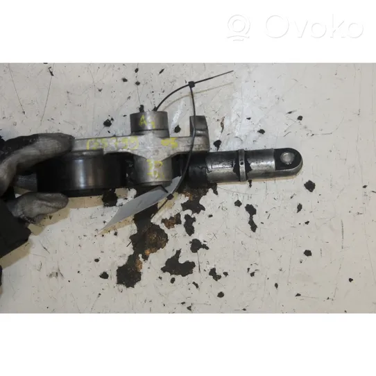 Audi A4 S4 B7 8E 8H Generator/alternator belt tensioner 