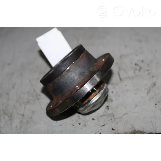 Fiat 500L Rear wheel hub 