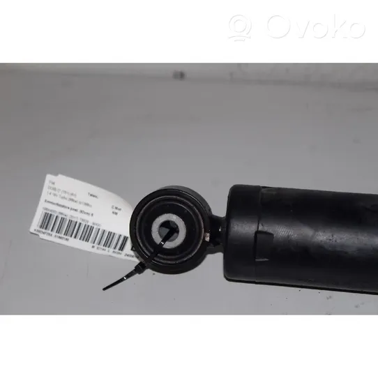 Fiat Doblo Rear shock absorber with coil spring 