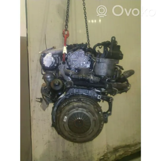 Ford Focus Motor T1DB