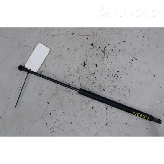 Renault Scenic I Rear window strut damper 