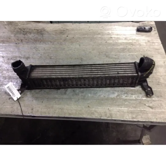 Seat Alhambra (Mk1) Radiatore intercooler 