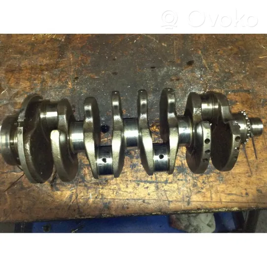 Volkswagen Golf IV Crankshaft 