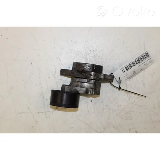 Opel Movano A Tendicinghia generatore/alternatore 