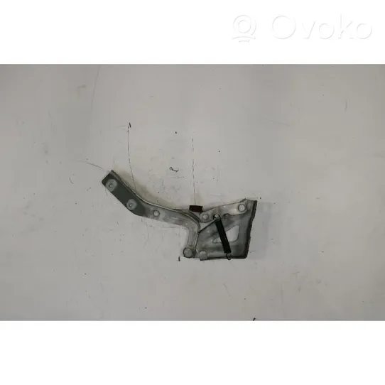 Fiat Fiorino Engine bonnet/hood hinges 