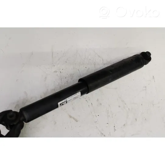 Fiat Doblo Rear shock absorber with coil spring 