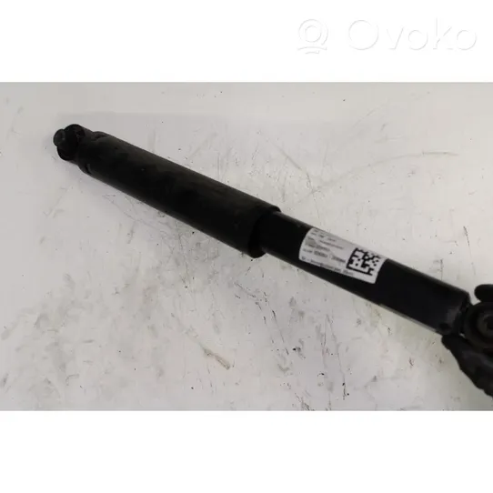 Fiat Doblo Rear shock absorber with coil spring 