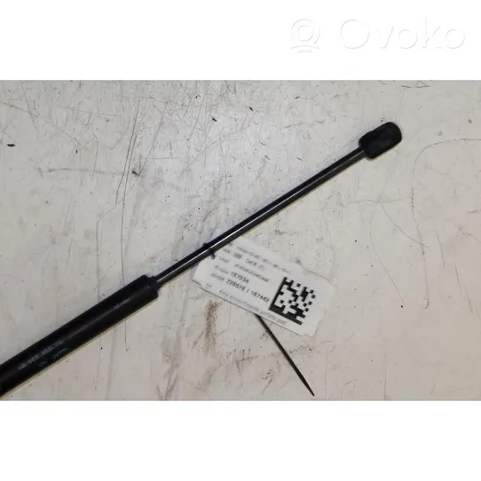 Citroen C3 Rear window strut damper 