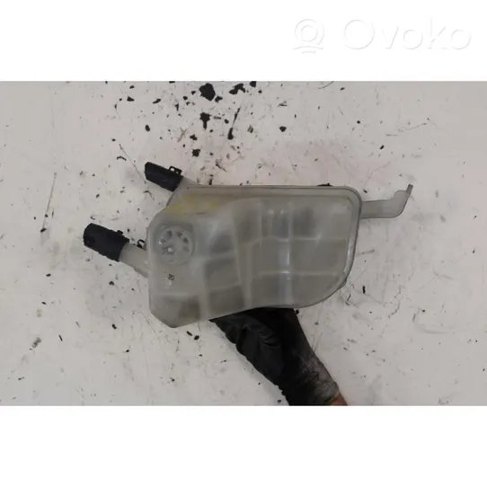 Toyota Prius (XW30) Vase d'expansion / réservoir de liquide de refroidissement 