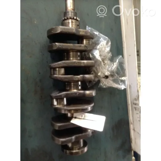 Citroen Jumper Crankshaft 