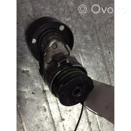 Volvo S40, V40 Generator/alternator belt tensioner 