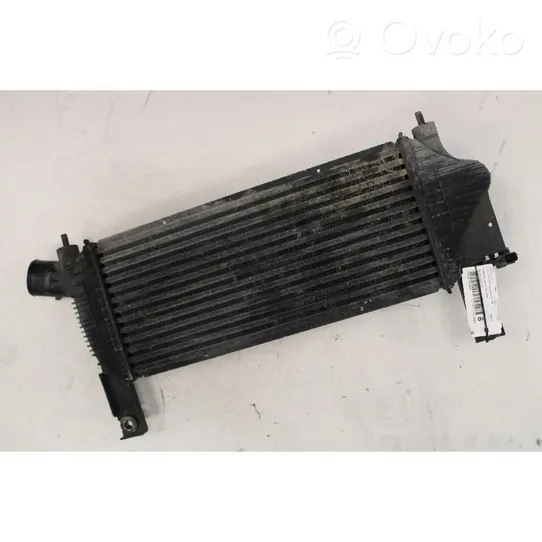 Nissan Navara D40 Radiatore intercooler 