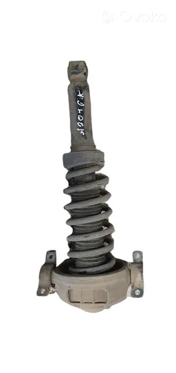 Volkswagen Touareg I Rear shock absorber with coil spring 7L6512021