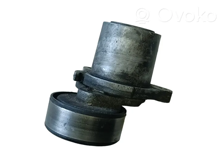 Hyundai Santa Fe Riemenspanner Spannrolle Lichtmaschine 