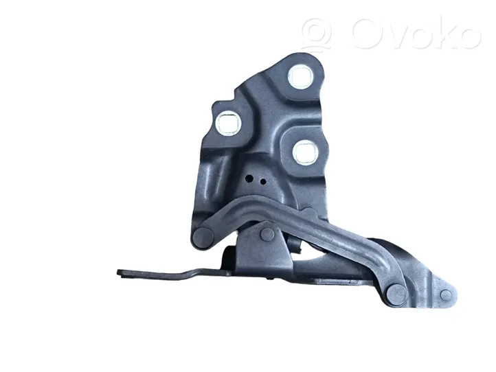 BMW X3 F25 Cerniere del vano motore/cofano 7210729