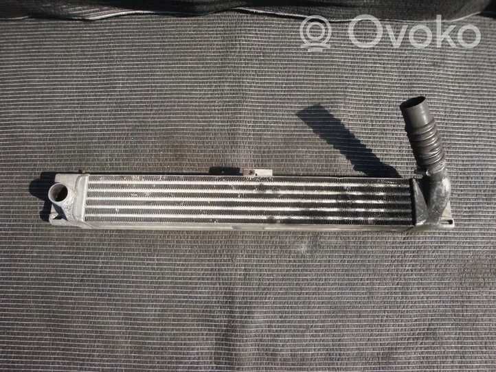 Opel Sintra Chłodnica powietrza doładowującego / Intercooler 