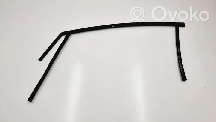 Ford C-MAX II Rubber seal front door window/glass AM51-U21510