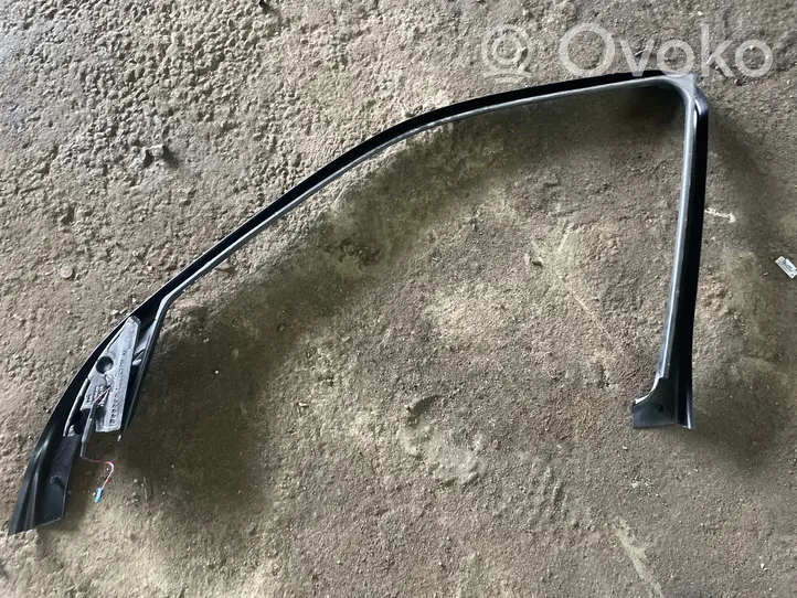 BMW X5 E70 Altro elemento di rivestimento della portiera anteriore 7129711