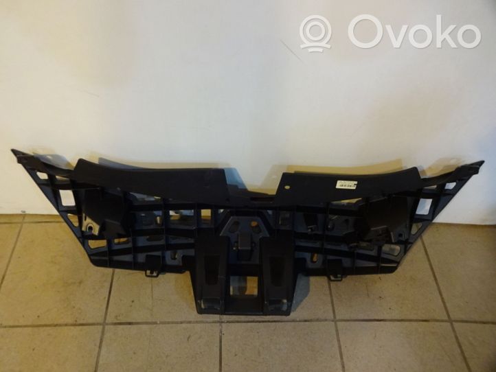 Renault Clio III Maskownica / Grill / Atrapa górna chłodnicy 