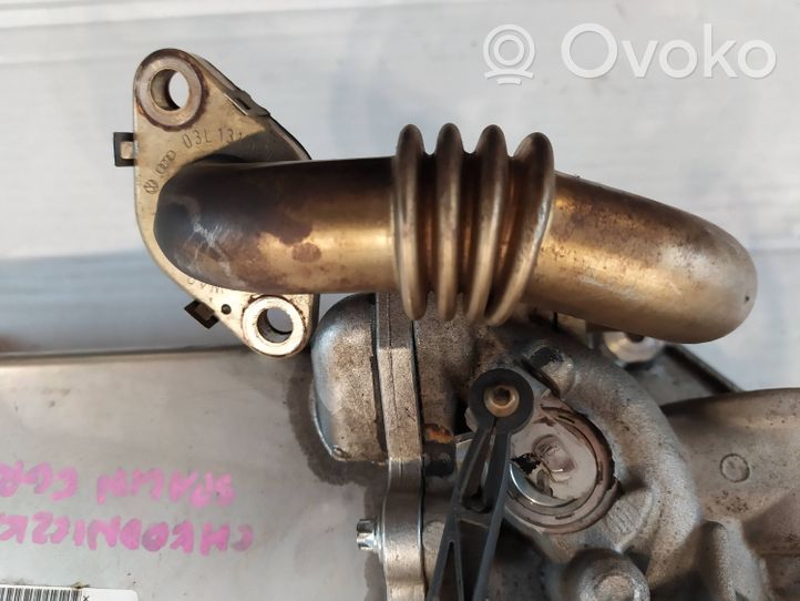 Volkswagen Amarok EGR-venttiili/lauhdutin V29041284