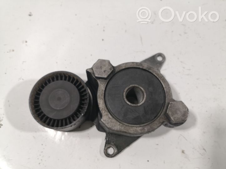 Toyota RAV 4 (XA30) Napinacz paska alternatora 166200R010