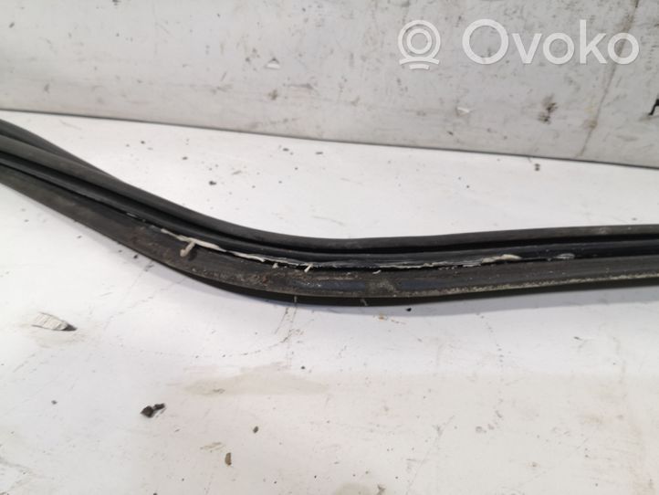 Volkswagen Phaeton Trunk rubber seal (body) 