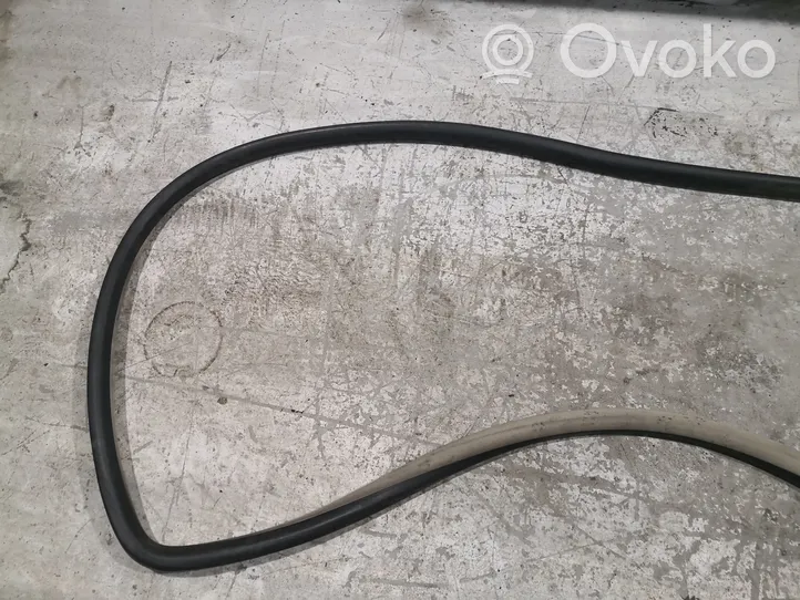 Volkswagen New Beetle Front door rubber seal 1C0867365