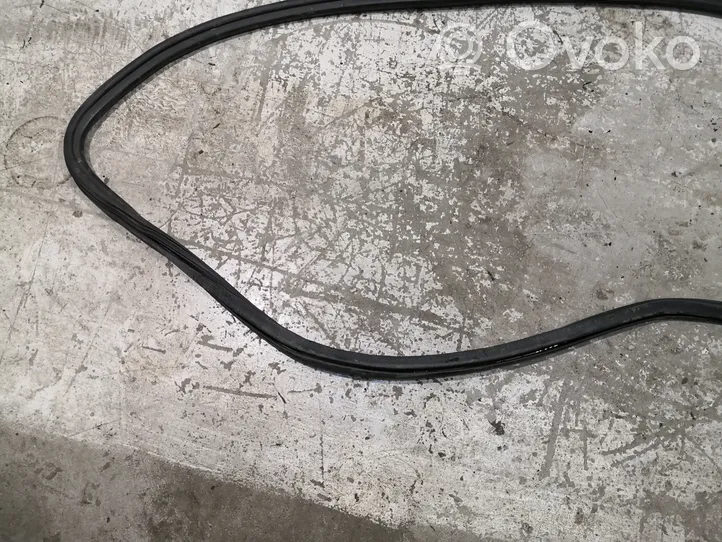 Audi A4 S4 B8 8K Front door rubber seal 8K0831721E