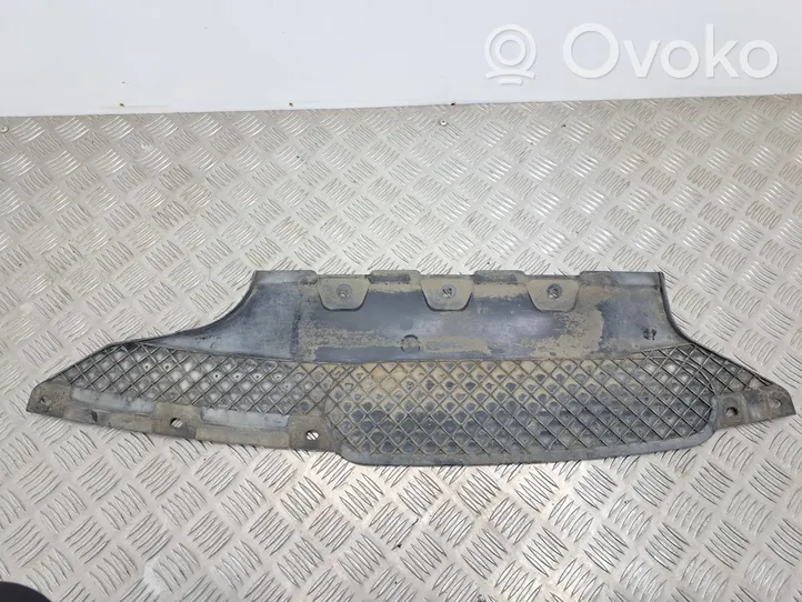 BMW 5 F10 F11 Copertura/vassoio paraurti sottoscocca posteriore 7906845