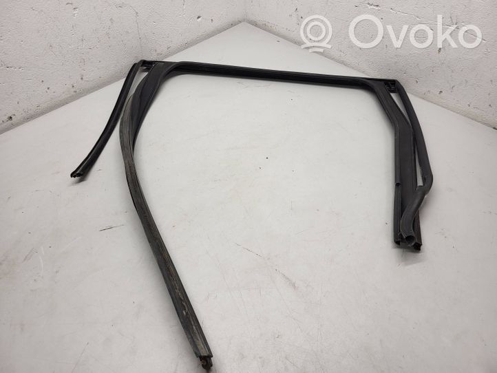 Volvo XC60 Rubber seal rear door window/glass 31352215