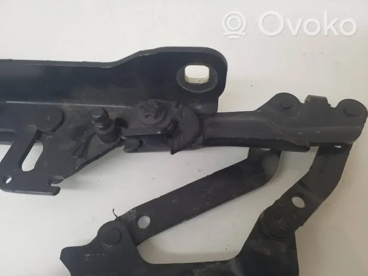 BMW 1 F20 F21 Cerniere del vano motore/cofano 1F0804032313