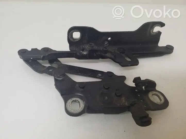 BMW 1 F20 F21 Cerniere del vano motore/cofano 1H057455361