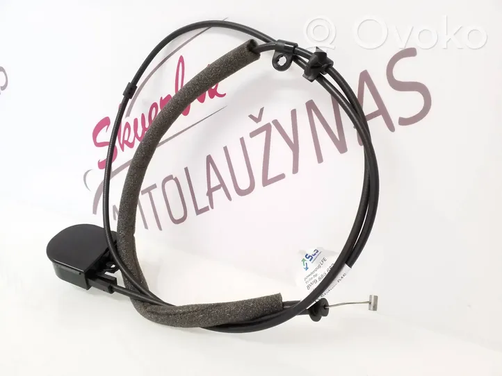 Audi A4 S4 B9 Kabel / uchwyt tylnego siedzenia 8W9885682