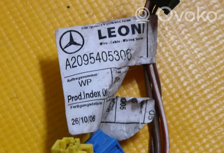 Mercedes-Benz CLK A209 C209 Cableado de puerta delantera A2095405306