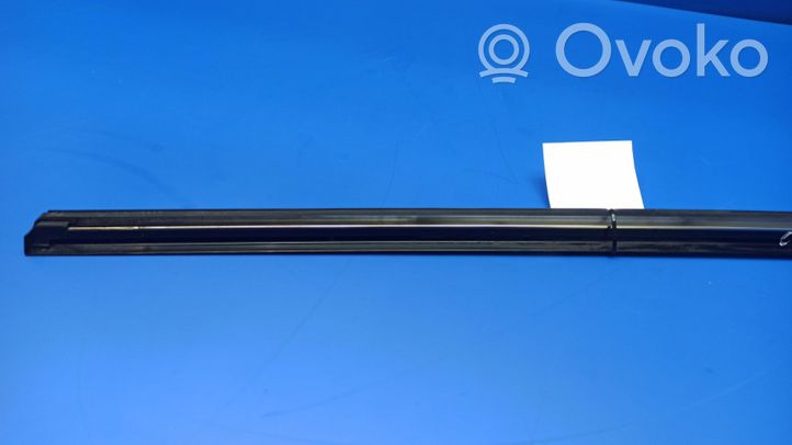 Mercedes-Benz CLK A209 C209 Rear door glass trim molding 