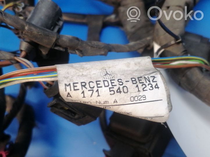 Mercedes-Benz SLK R171 Kiti laidai/ instaliacija A1715401234