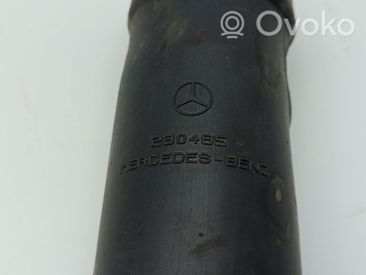 Mercedes-Benz ML W163 Ammortizzatore anteriore 290485