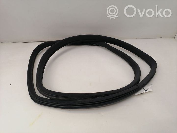 Mercedes-Benz C W203 Rear door rubber seal (on body) A2036972551