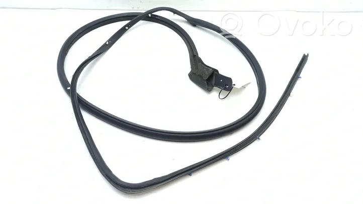 Cadillac SRX Front door rubber seal 