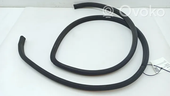 Lexus LS 430 Front door rubber seal 